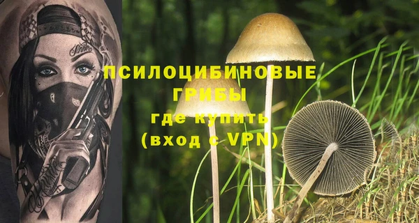 кокаин премиум Богородицк