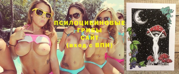 дмт Богородск