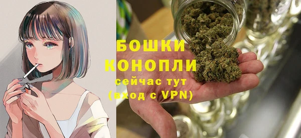 дмт Богородск